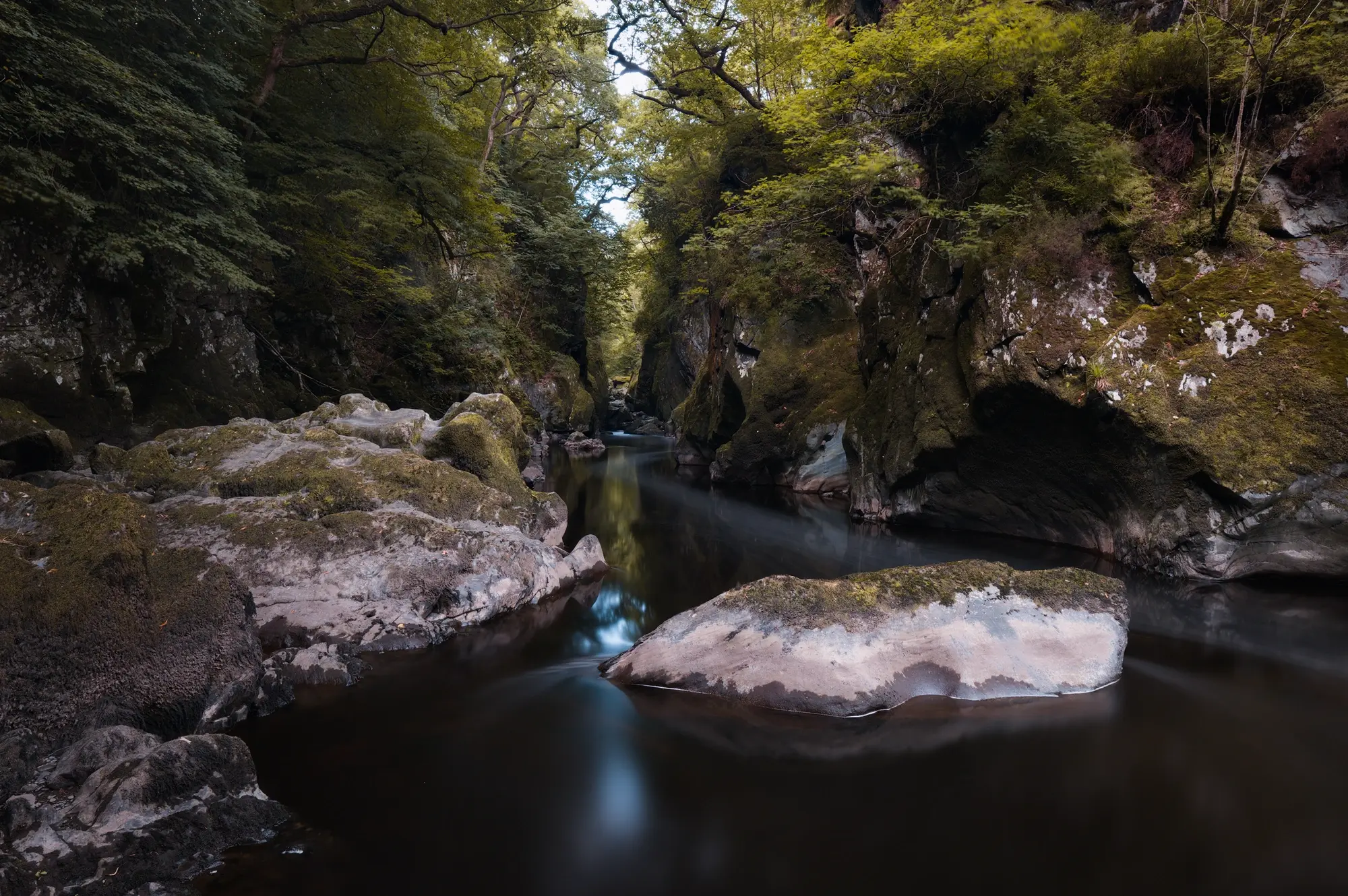 Five Minutes in the Fairy Glen