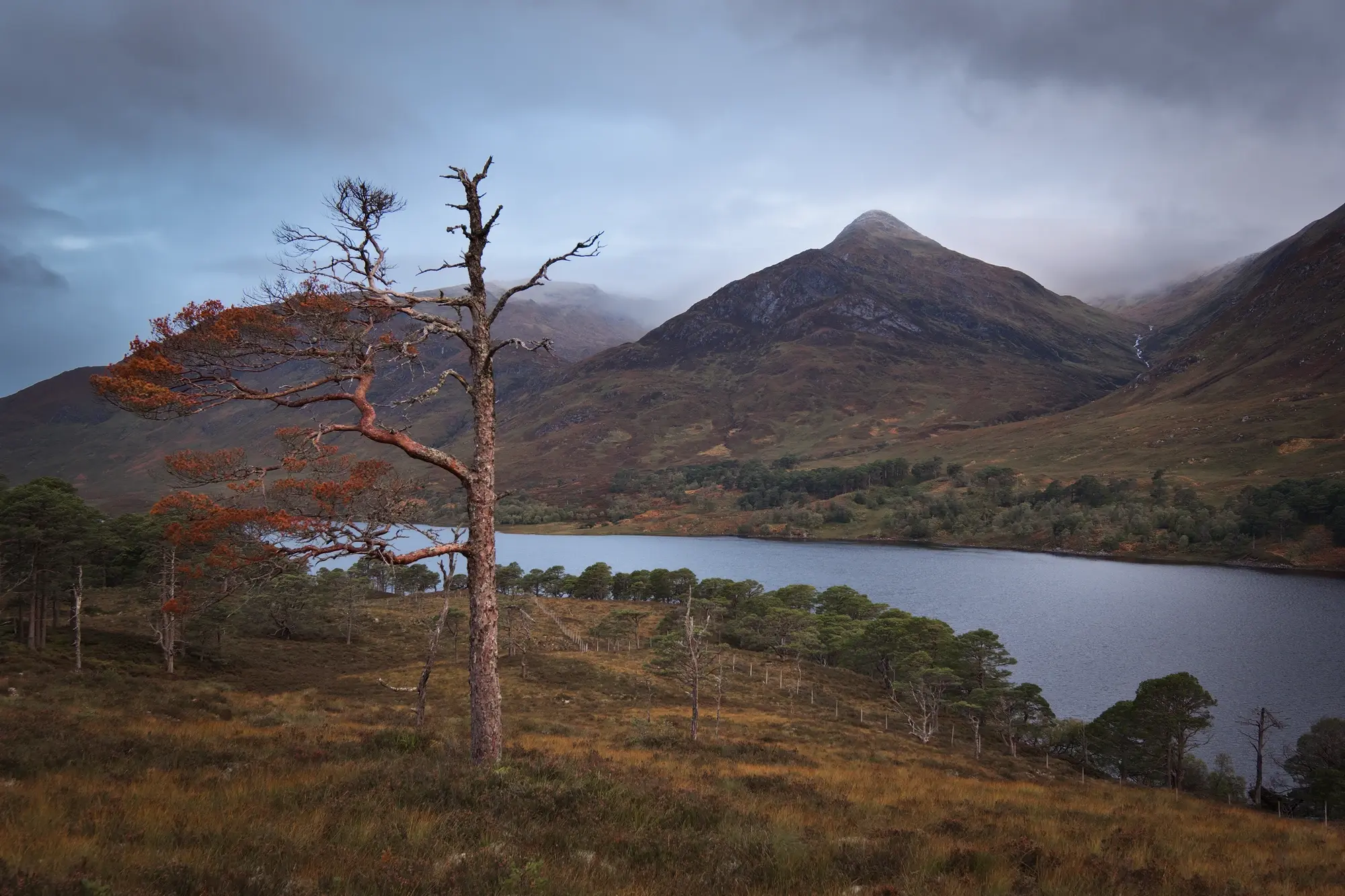 Glen Affric